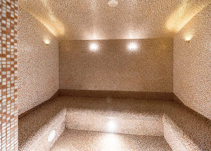 ホテル ウェルトン ホテル&スパ 4*